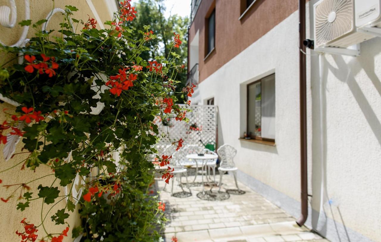 Carla'S Apartment, Airport & Train Station Shuttle Iasi Buitenkant foto
